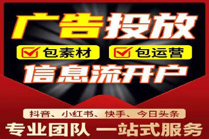 搜索引擎营销（SEM）的投放策略与效果评估——以某行业领先企业的案例分析